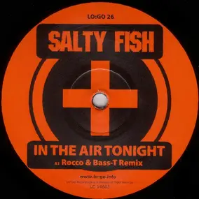 Salty Fish - In The Air Tonight