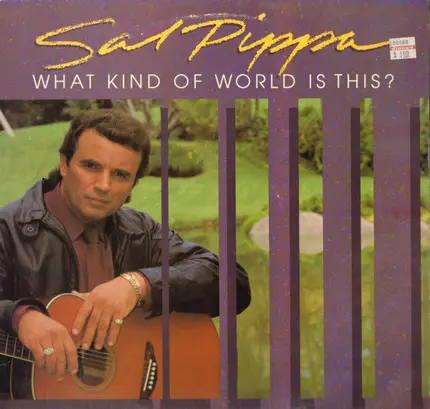 Salvatore Pippa Jr. - What Kind Of World Is This?