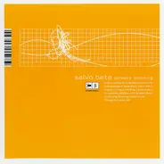 Salvo Beta - Abrasive Stuttering