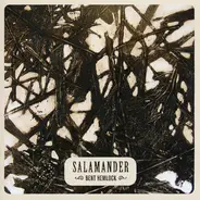 Salamander - Bent Hemlock