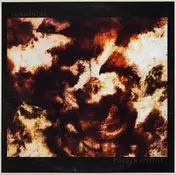 Salamander - Birds of Appetite