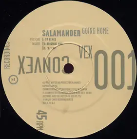 Salamander - Going Home