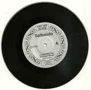 7inch Vinyl Single - Salbando - I Could See The Smallest Things