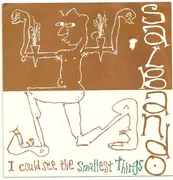 7inch Vinyl Single - Salbando - I Could See The Smallest Things