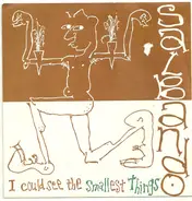 Salbando - I Could See The Smallest Things