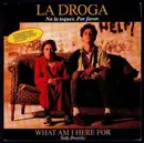 12inch Vinyl Single - Sally Dworsky - What Am I Here For (La Droga. No La Toques. Por Favor)