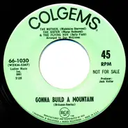 Sally Field - Gonna Build A Mountain