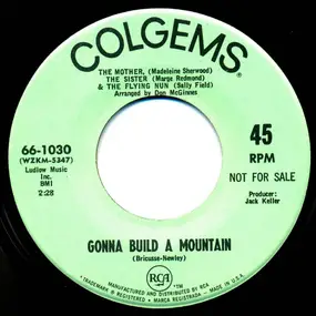 Sally Field - Gonna Build A Mountain