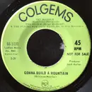 7inch Vinyl Single - Sally Field - Gonna Build A Mountain
