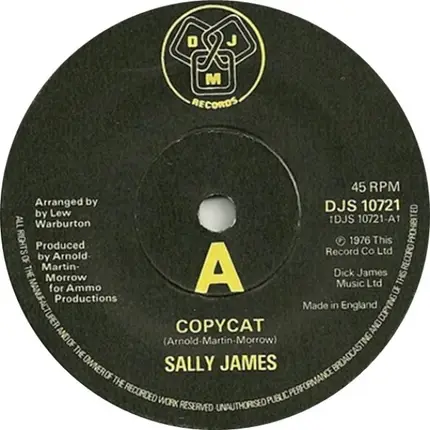 Sally James - Copycat