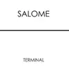 Double LP - SALOME - TERMINAL