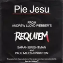 7inch Vinyl Single - Sarah Brightman - Pie Jesu
