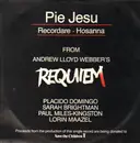 12inch Vinyl Single - Sarah Brightman, Paul Miles-Kingston & Placido Domingo a.o. - Pie Jesu