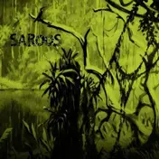 Saroos - Morning Way
