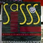 12'' - Sasss - I Didn't Mean It At All