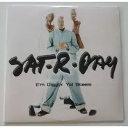 Sat-r-day - (I'm Diggin' Yo) Steelo