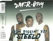 CD Single - Sat-r-day - (I'm Diggin' Yo) Steelo
