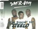 CD Single - Sat-r-day - (I'm Diggin' Yo) Steelo