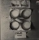 LP - Satin Whale - Desert Places - green brain krautrock