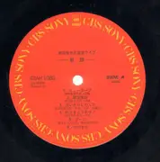 Double LP - Satoshi Kishida (岸田智史) - Kiseki (軌跡) - +booklet