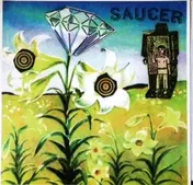 Saucer - Spoonerisms