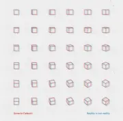Double LP - Saverio Celestri - Reality Is Not Reality - Still sealed