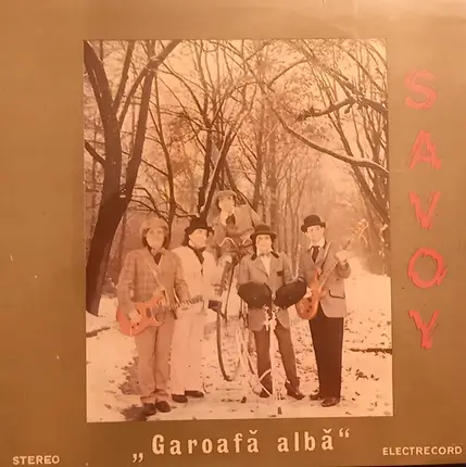 Savoy - Garoafă Albă