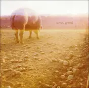 Savoy Grand - Accident Book
