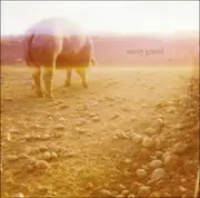 CD - Savoy Grand - Accident Book