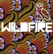 SBTRKT - Wildfire