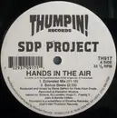 12inch Vinyl Single - SDP Project - Hands In The Air