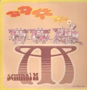 LP - Semnal M - Trenul Cursă De Persoane Apahida - Cluj-Napoca - Original 1st Romanian, Pokora 3001