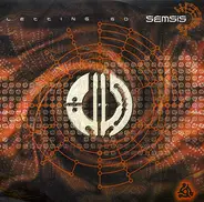 Semsis - Letting Go