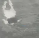 CD - Senking - Ping Thaw