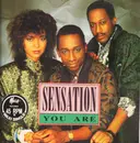 12inch Vinyl Single - Sensation - You Are