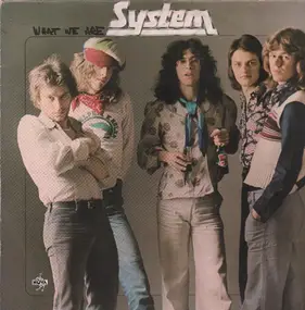 The System - What We Are