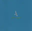 CD - Sea Of Green - Time To Fly