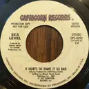 7inch Vinyl Single - Sea Level - It Hurts To Want It So Bad