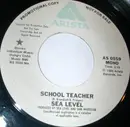 7inch Vinyl Single - Sea Level - School Teacher