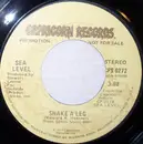 7inch Vinyl Single - Sea Level - Shake A Leg