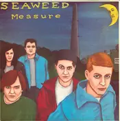 Seaweed - Measure