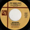 7inch Vinyl Single - Seawind - One Sweet Night