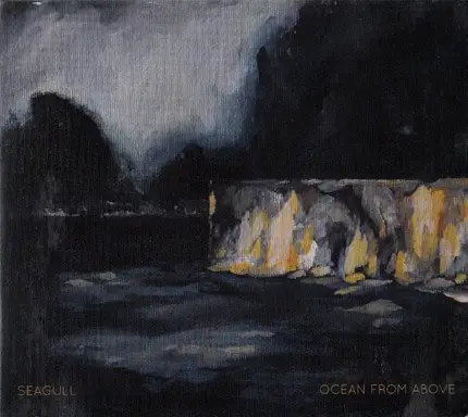 Seagull - Ocean From Above