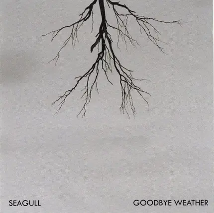 Seagull - Goodbye Weather
