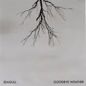 Seagull - Goodbye Weather