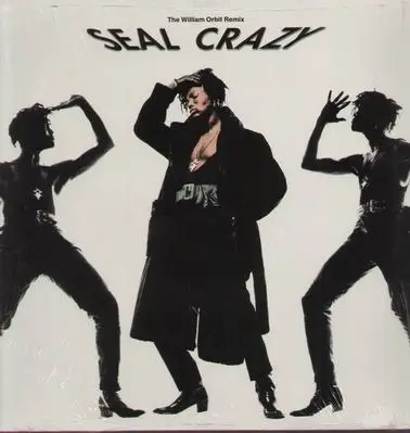 Seal - Crazy (William Orbit Remix)