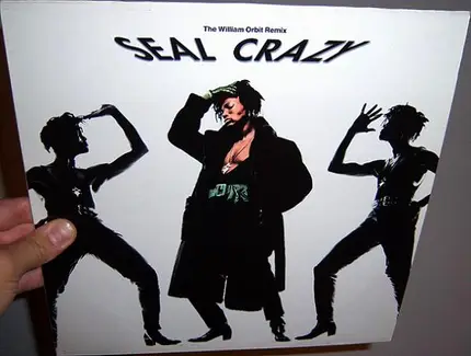 Seal - Crazy (William Orbit Remix)