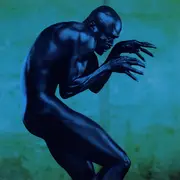 CD - Seal - Human Being