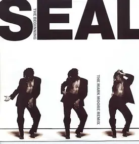 Seal - The Beginning (The Mark Moore Remix)