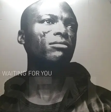 Seal - Waiting For You